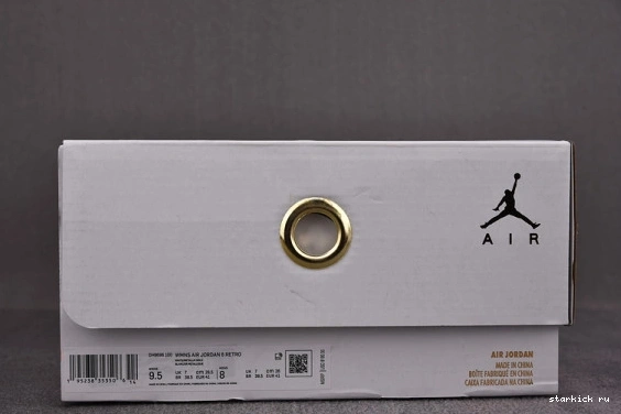 Jordan DH9696-100 Air Gold Hoops DH9696-100 Retro 6 0831